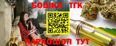 apvp Кингисепп