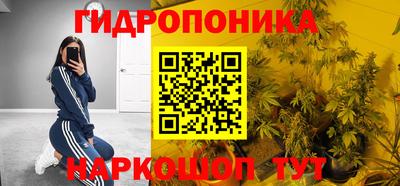 индика Кинель