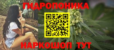 apvp Кингисепп