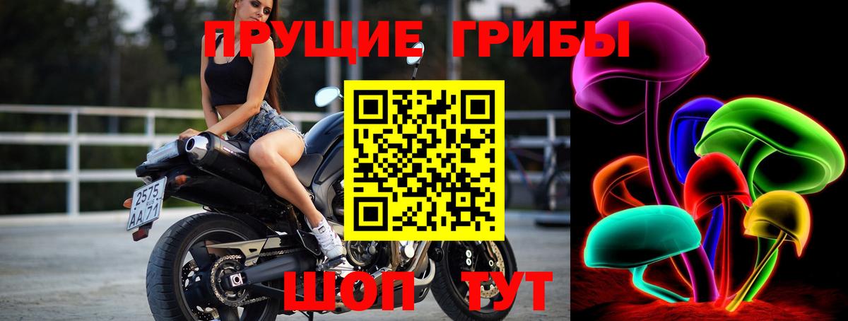 Клинцы  цена   Вход с VPN  Галлюциногенные грибы MAGIC MUSHROOMS  Галлюциногенные грибы Psilocybe 